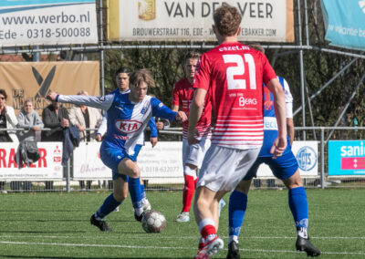 dtsede hierden 12