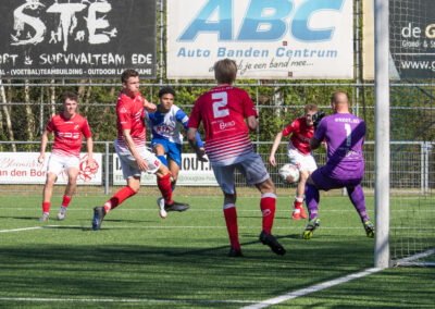 dtsede hierden 6