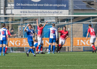 dtsede hierden 7