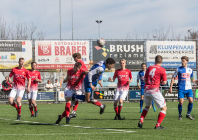 dtsede hierden 8